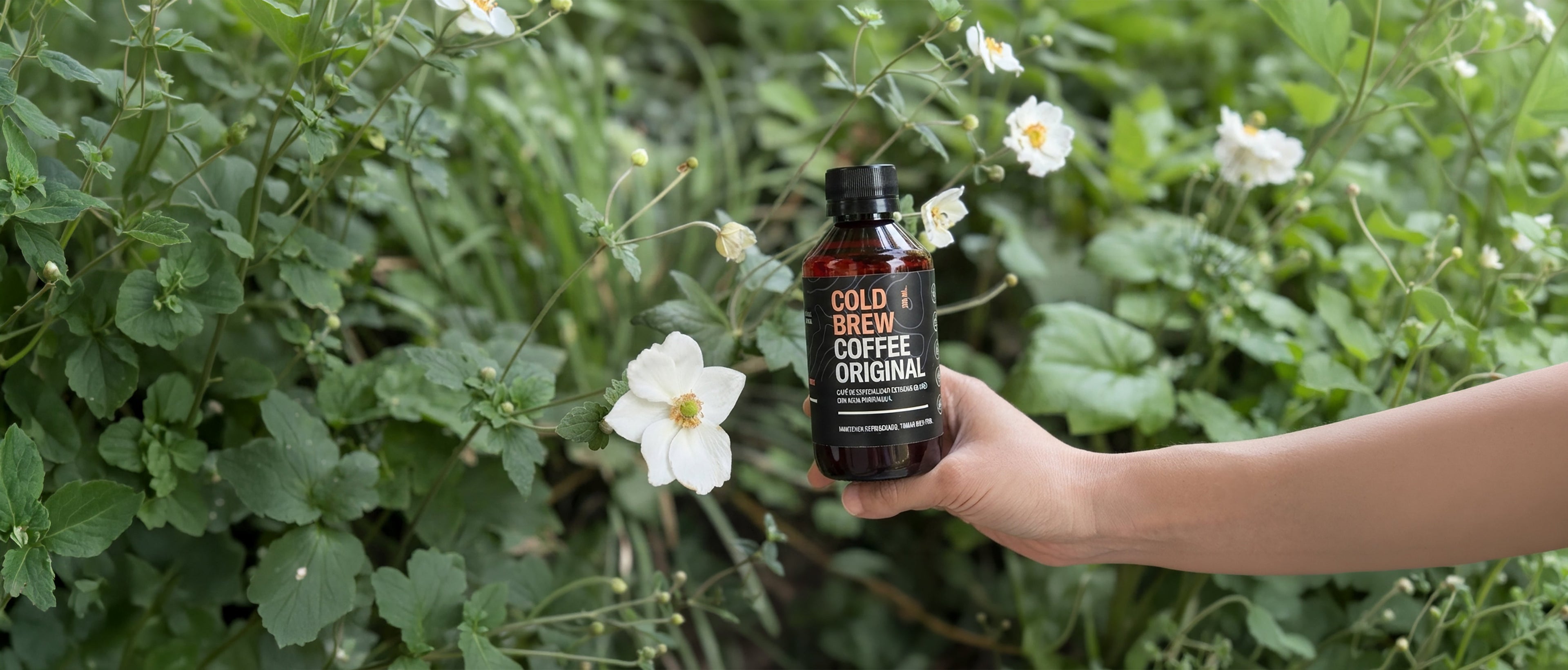 Cold Brew