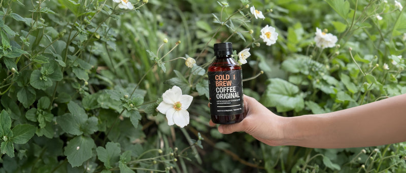 Cold Brew