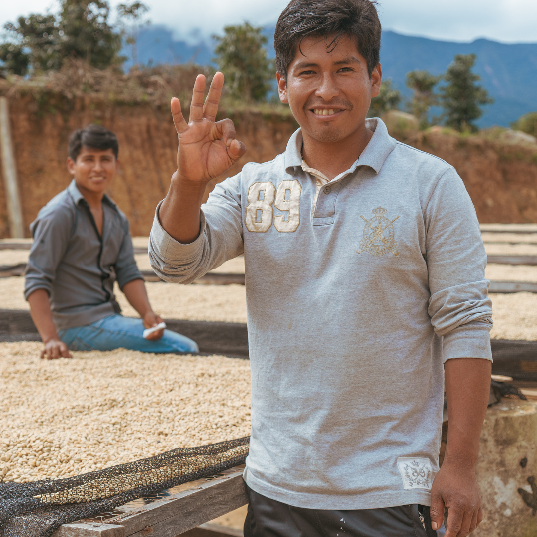 Café Bolivia Geisha Lavado - Gonzalo Mamani 125 gr