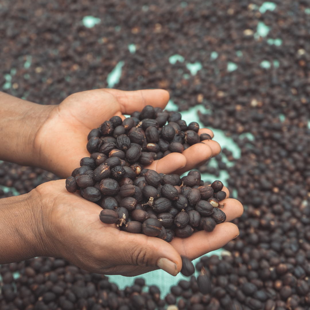 Café Bolivia Catuaí Natural - Nicolás Colque 125 gr