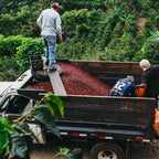 Café Costa Rica Tarrazú