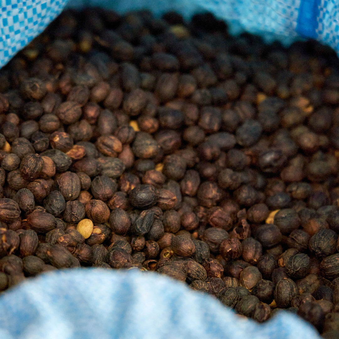 Café Bolivia Catuaí Natural - Nicolás Colque 125 gr