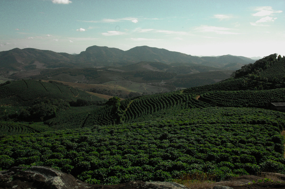 Café Espírito Santo Mountain