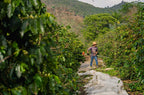Café Espírito Santo Mountain