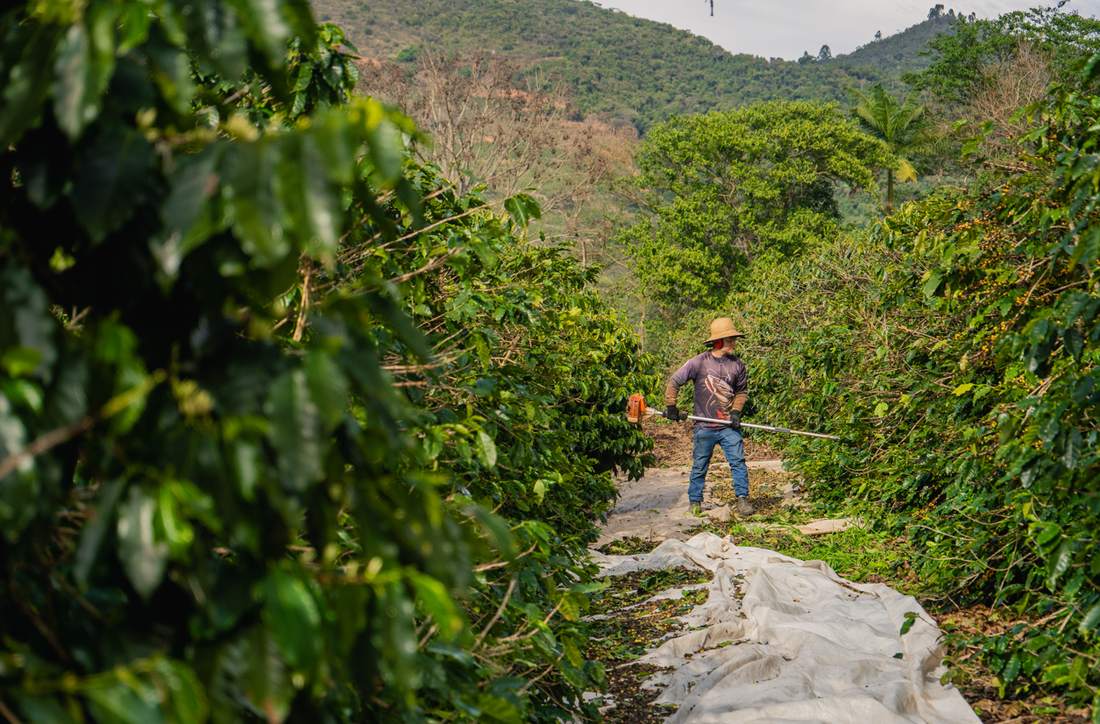 Café Espírito Santo Mountain