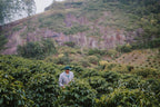 Café Espírito Santo Mountain