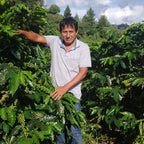 Café Perú Pangoa